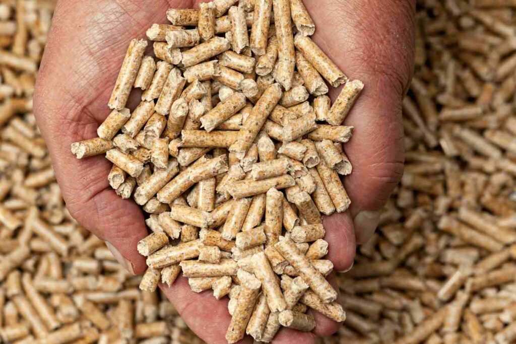 pellet en vrac dans une main